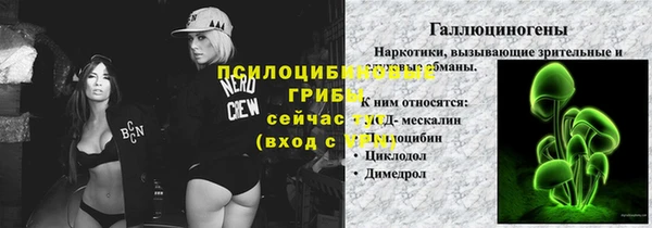 герыч Магас