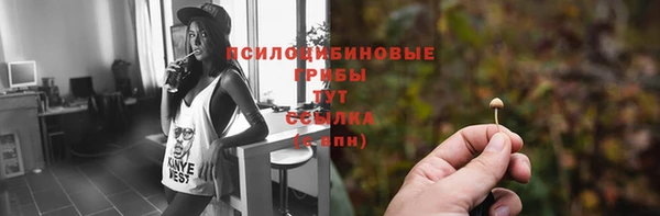 герыч Магас