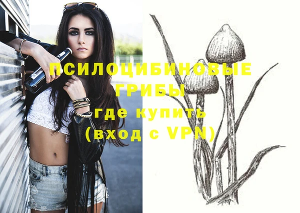 СК Магадан