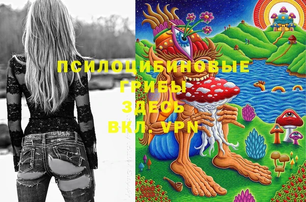 дмт Майский